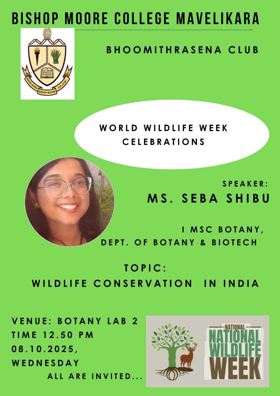 uploads/WhatsApp Image 2025-10-07 at 20.05.58-2025-10-09-17-02-02.072.jpeg